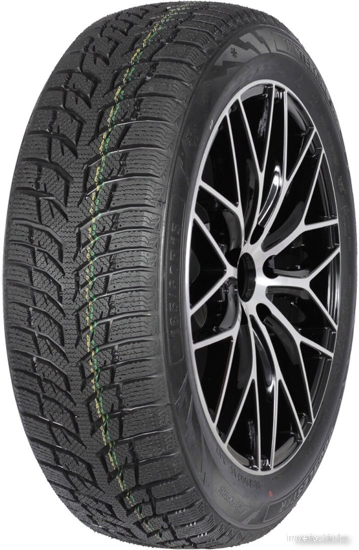 Autogreen Snow Chaser 2 AW08 205/50R17 93H