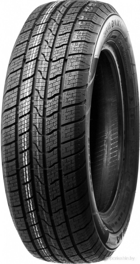 Royal Black Royal A/S 175/70R14 88T XL