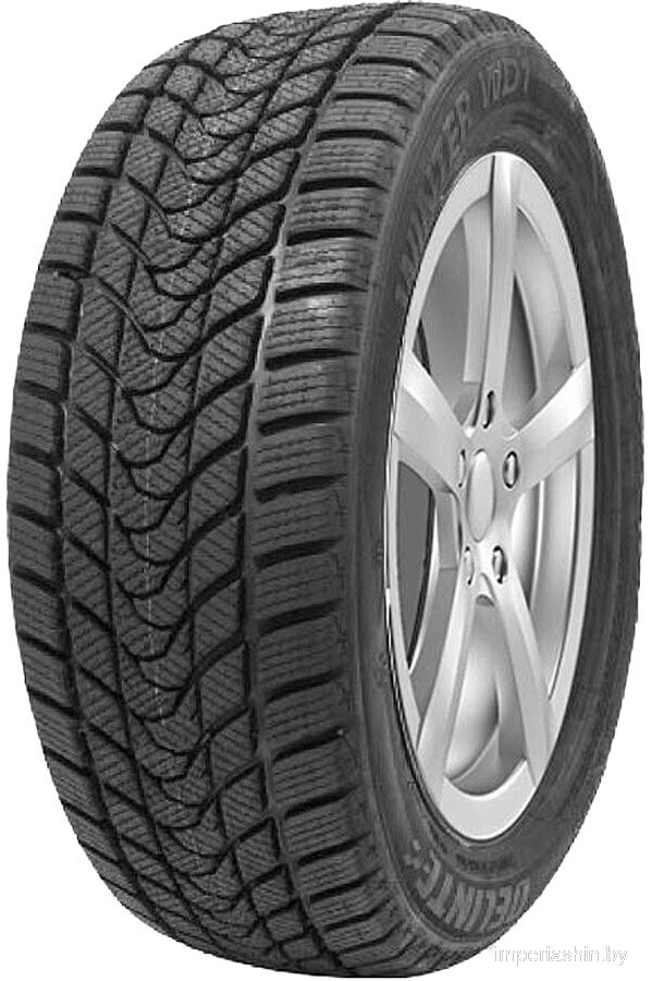 Delinte Winter WD1 225/45R17 94T