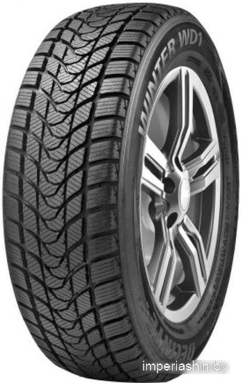 Delinte Winter WD1 255/45R19 100H