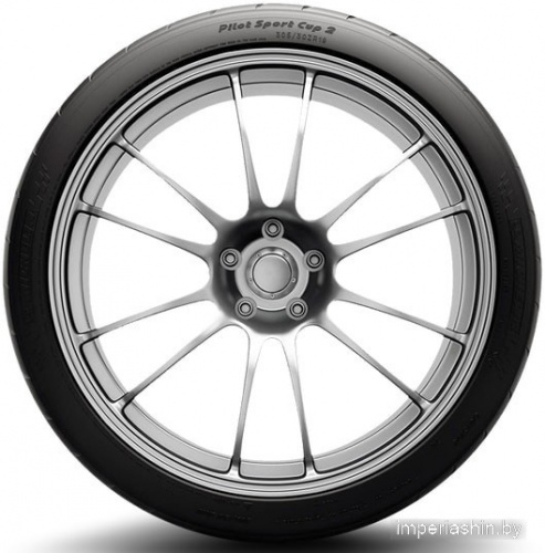 Michelin Pilot Sport Cup 2 Connect 325/30R21 108Y фото 2