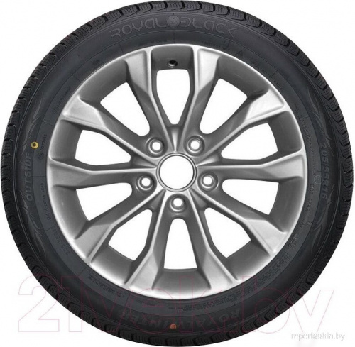 Royal Black Royal Winter 225/50R17 98V XL фото 2