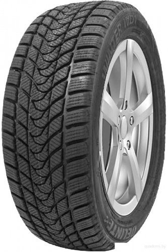 Delinte Winter WD1 205/65R16 95T