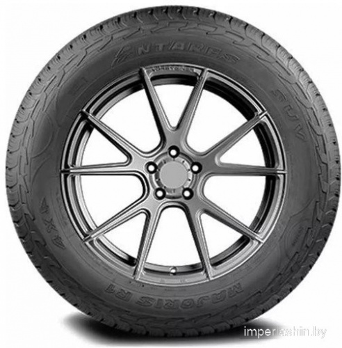 Antares Majoris R1 265/65R17 112S фото 1