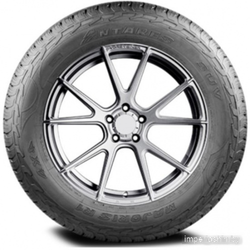 Antares Majoris R1 295/45R20 114W фото 2