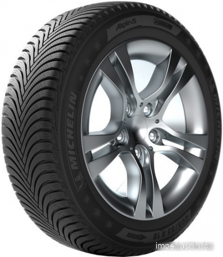 Michelin Alpin 5 295/35R20 105W
