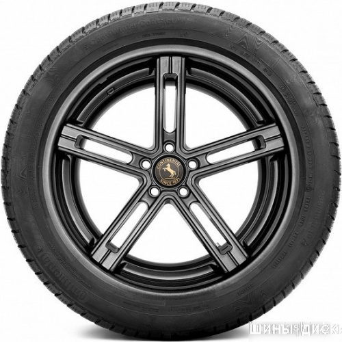 Continental ContiWinterContact TS 830 P 255/50R21 109H ContiSeal фото 2