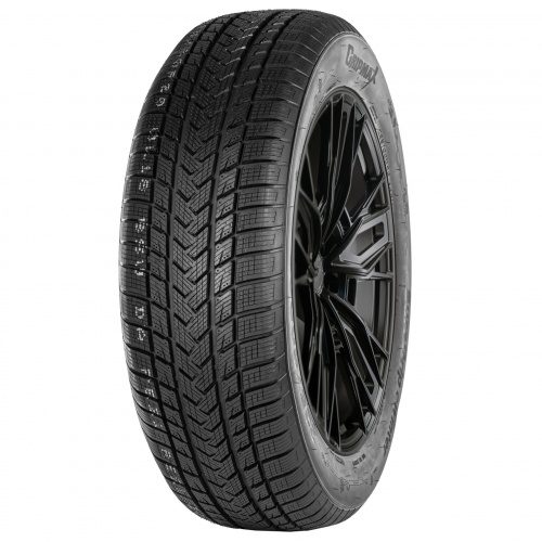 Gripmax SureGrip eWinter 225/45R17 94V