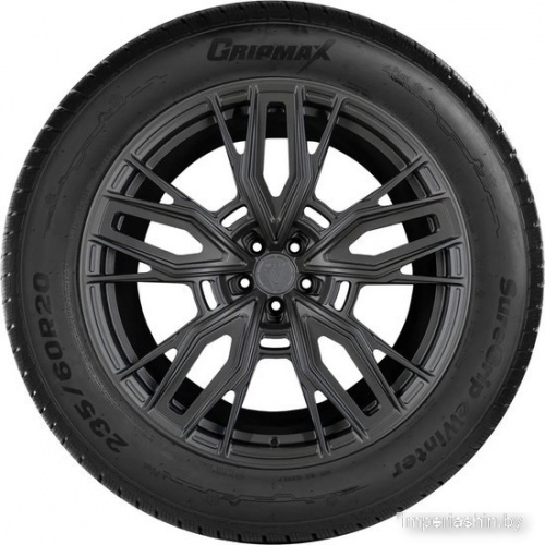 Gripmax SureGrip eWinter 215/65R17 103V фото 1