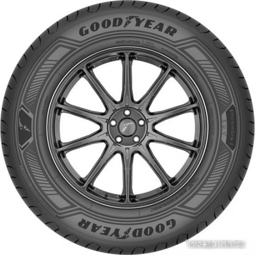 Goodyear EfficientGrip 2 SUV 285/45R22 114H фото 1