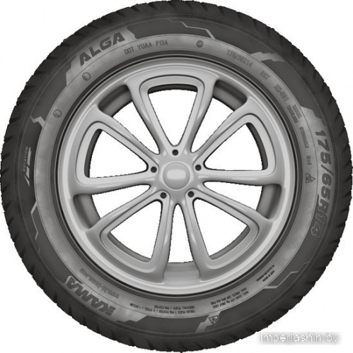 KAMA ALGA (HK-531) 195/65R15 91T (шип) фото 2